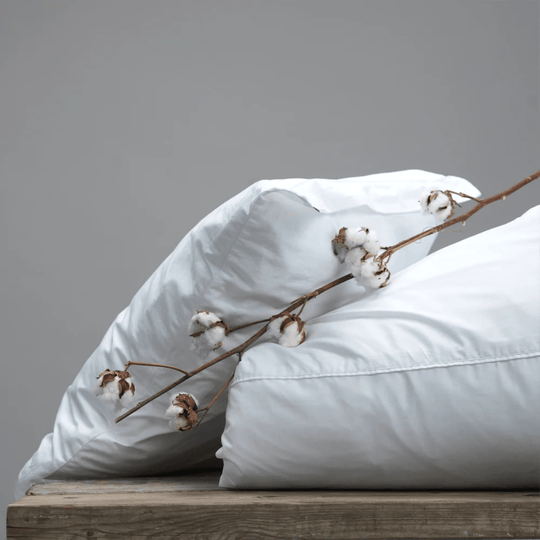 Gripsholm Percale Örngott Care of Beds